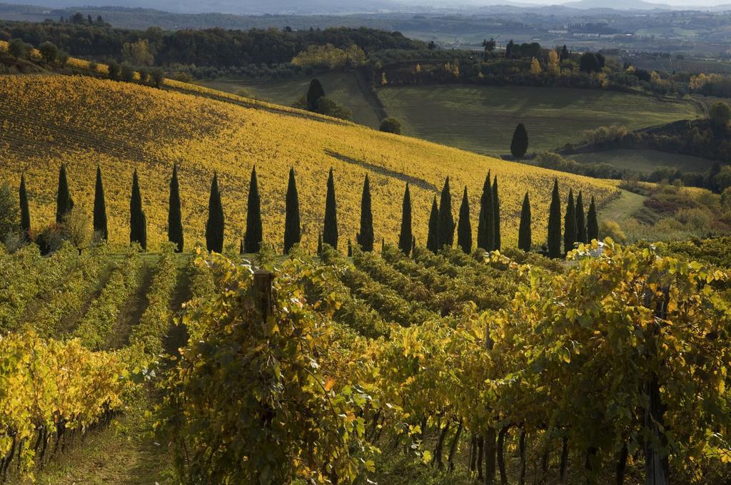 Agriturismo Campo Lungo San Donato in Poggio Rum bild